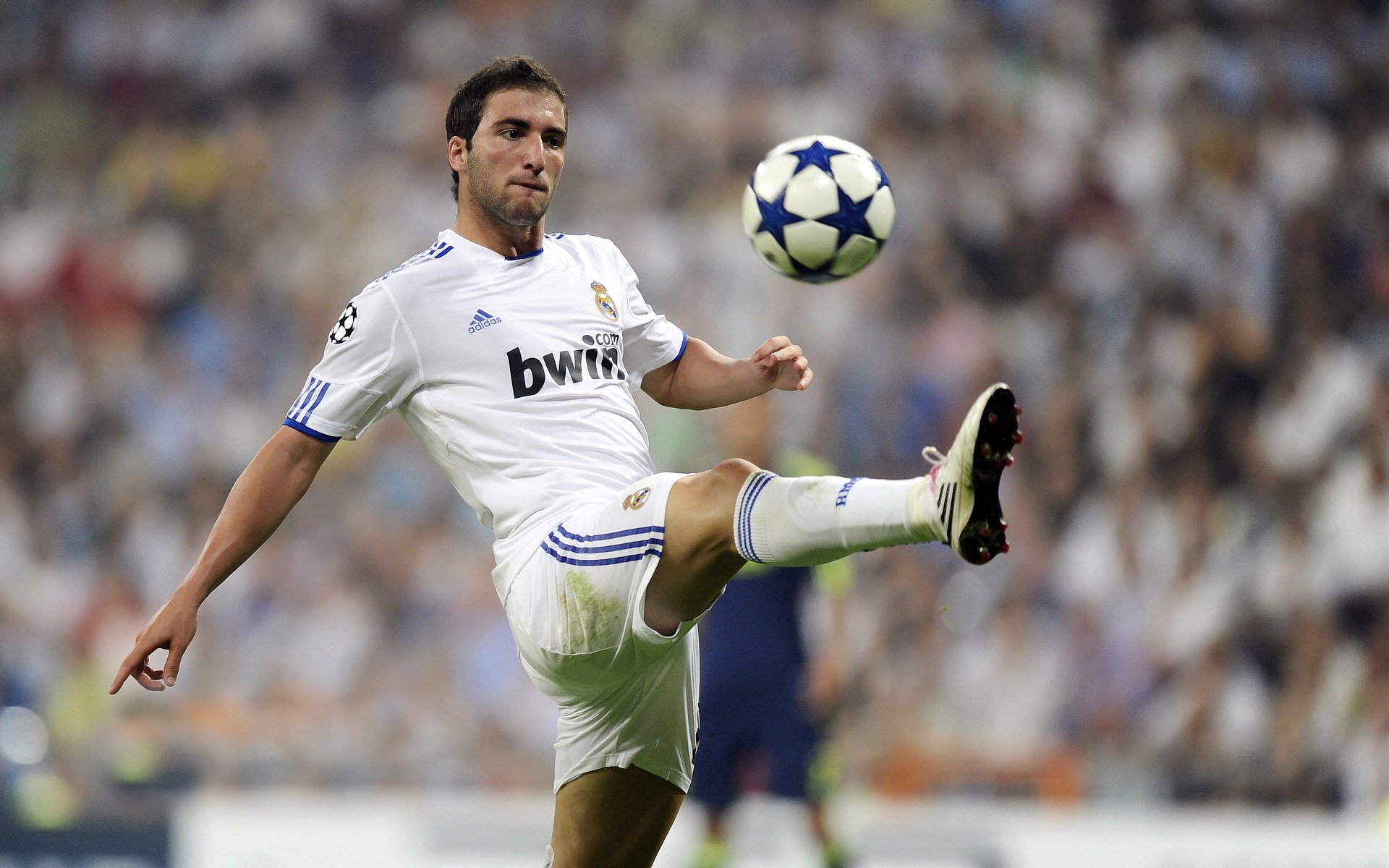 开云体育-勇士碾压福建队，武切维奇惊艳四座，一场技术与意志的完美融合